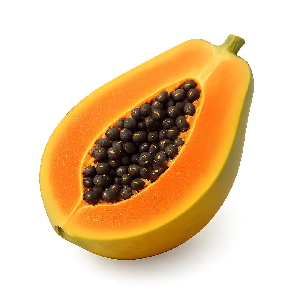 Papaya kivonat - enzimeket tartalmaz, amelyek támogathatják az emésztést